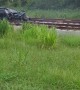 Train Hits Car on Tracks in Florida