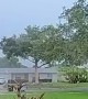 Lightning Strikes Tree Outside Home