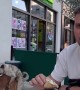 Dogs Interrupt Outdoor Diners