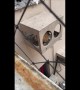 Cat Not Rescued From Building Structure