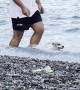 Dog Enjoys Swimming in the Sea