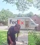 Mini Schnauzer Gives the FedEx Guy a Hug