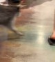 Bass Pro Shopper Walks Pet Raccoon