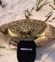 Crab Steals Diver's Camera