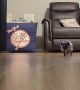 Hedgehog Tippy Taps Sound Like a Helicopter