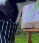 Border Collie Paints Abstract Landscape
