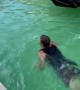 Man Swims With Pet Black Swan