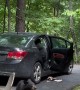 Hungry Black Bear Family Breaks Into Unlocked Car