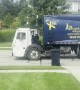 Electric Love Between Garbage Man And Dog