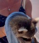 Couple Saves a Baby Raccoon From the Texas Heat