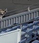 Raccoon Crashes Broncos' Game