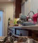 Chaos Ensues After Pants Pocket Catches on Kitchen Drawer
