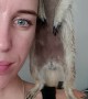 Pet Meerkat Perches On Owner's Shoulder