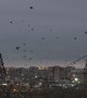 Birds Swarm Over Aktau