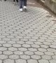 Excited Pomsky Hops to Person