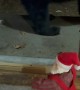 Black Bear Doesn't Know What to Think of Dancing Santa