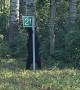 Bear Scratches His Back on a Road Sign