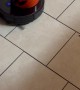 Orange Cat Rides Vacuum Bucket