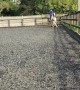 Cantering Horse Is Unphased By Inexperienced Rider