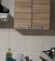 Pets Hang Out On Top Of Kitchen Cabinets