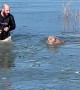 Owner Rescues Dogs That Fell Through Lake Ice