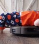 Son Relaxes On Robot Vacuum