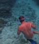 Angry Fish Charges at Snorkeler