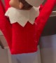Elf on the Shelf's Icemaker Surprise