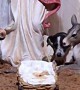 Dog Joins Nativity Scene