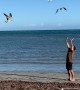 Dad Summoning Seagulls