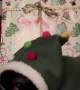 Cat In Christmas Tree Costume