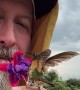 Hummingbird Drinks From Flower Held in Man's Mouth