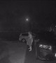 Doorbell Camera Exposes Curry Night Farts