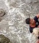 Guys Rescue Dog Trapped on Rocky Shore