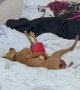 Chihuahua Found Getting Frisky With Rubber Chicken