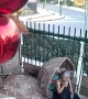 Hanging Chair Falls Over When Woman Sits Down