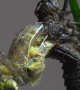 Dragonfly Larva Metamorphosis Time-Lapse