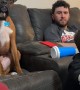 Boxer Dog Confused by Boy's Actions