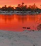 Snowy Sunset Over Red Louisiana Pond