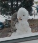 Squirrel Makes Snowman