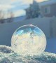 Mesmerizing Frozen Soap Bubbles
