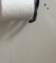 Snake Protects Toilet Paper