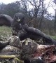 Spectacular Common Buzzard Fight