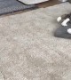 Cat Invites German Shepherd to Play