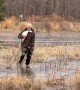 Woman Saves Goose Frozen in Icy Pond