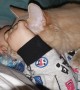 Cat Steals Binkie From Sleeping Baby