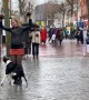 Trick Dog Dances In Town Centre