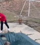 Deer Rescued From Pool Cover