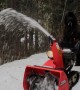 Newfoundland Dog Operates Snow Blower
