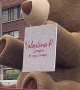 Giant Bear With Valentine's Message